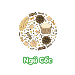 Ngũ cốc dinh dưỡng